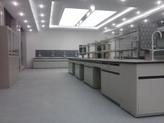 实验室设计与建设模式探讨